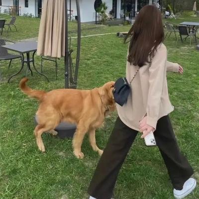 猎鬼姐妹